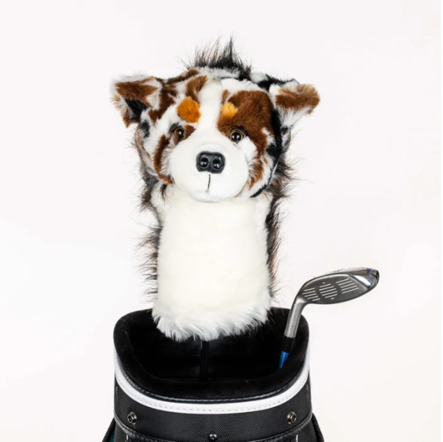 Daphnes Headcover Australian Shepherd Daphnes