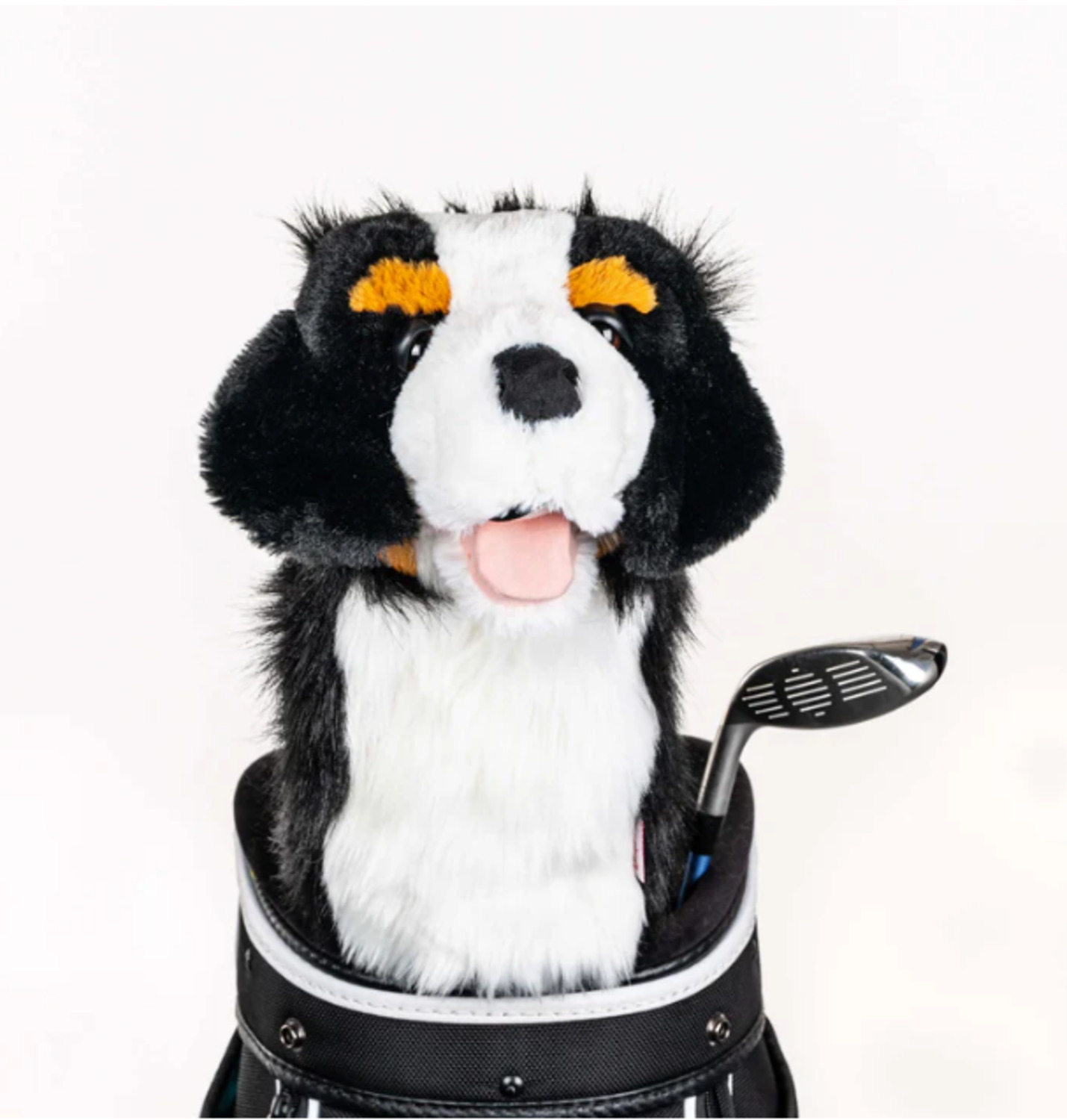 Daphnes Headcover Bernese Mountain Dog
