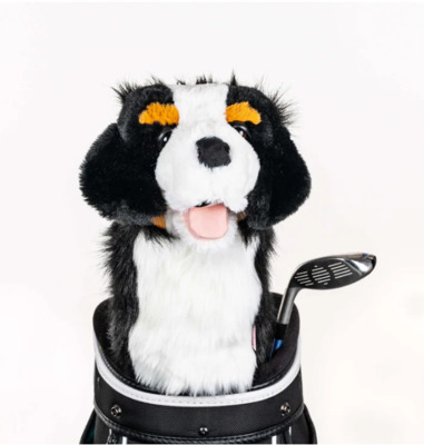 Bernese Mountain Dog