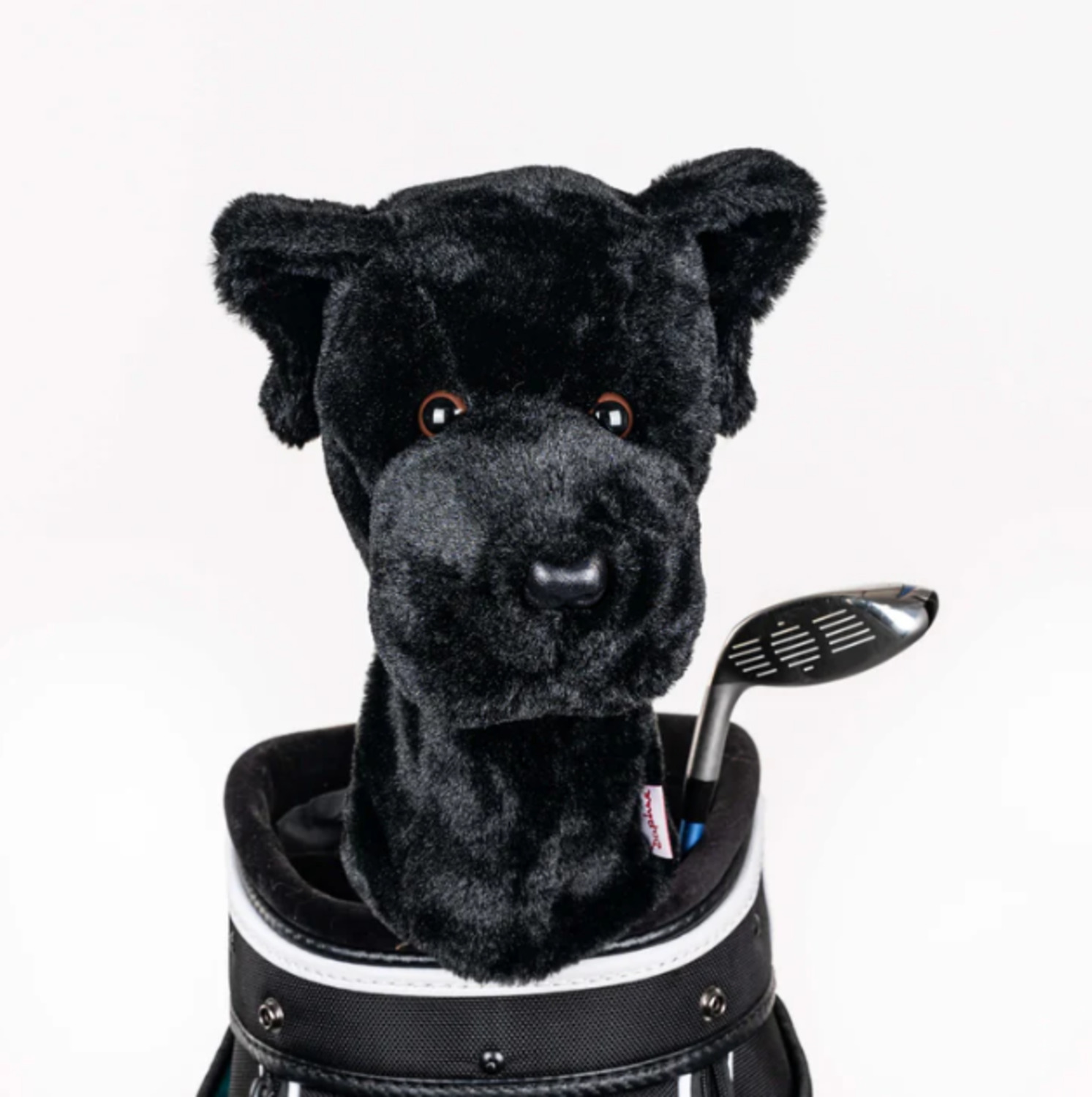 Daphnes Headcover Black Lab Daphnes