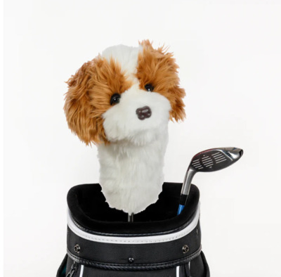 Cavapoo Daphnes