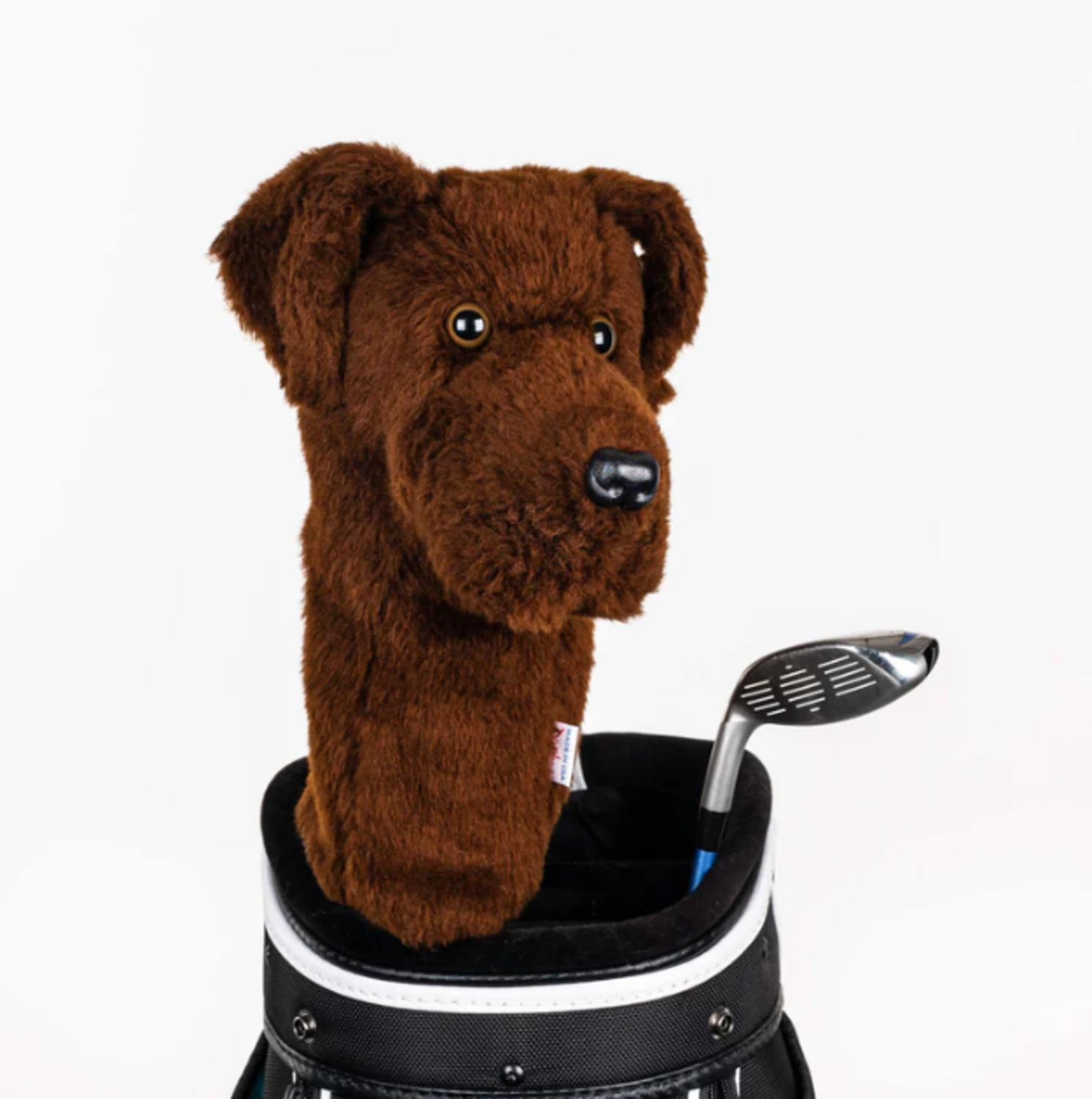 Daphnes Headcover Chocolate Lab Daphnes