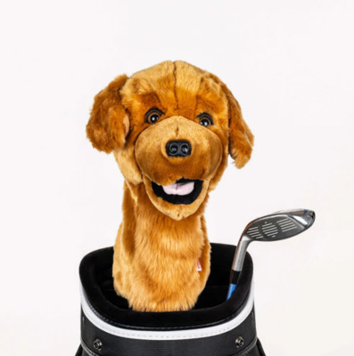 Golden Retriever Daphnes