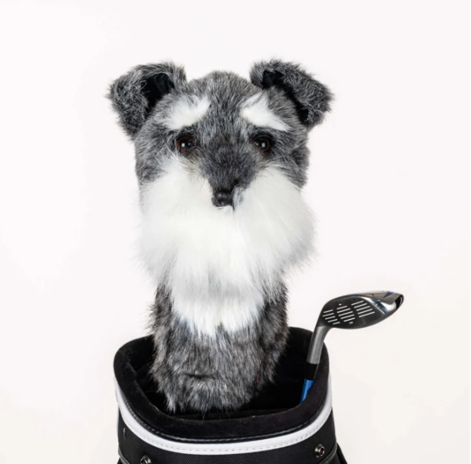 Daphnes Headcover Schnauzer Daphnes