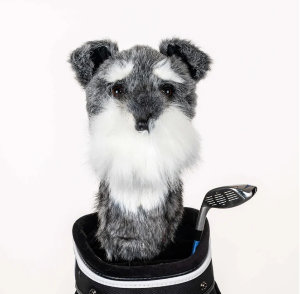 Daphnes Headcover Schnauzer Daphnes