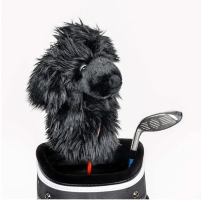 Black Poodle